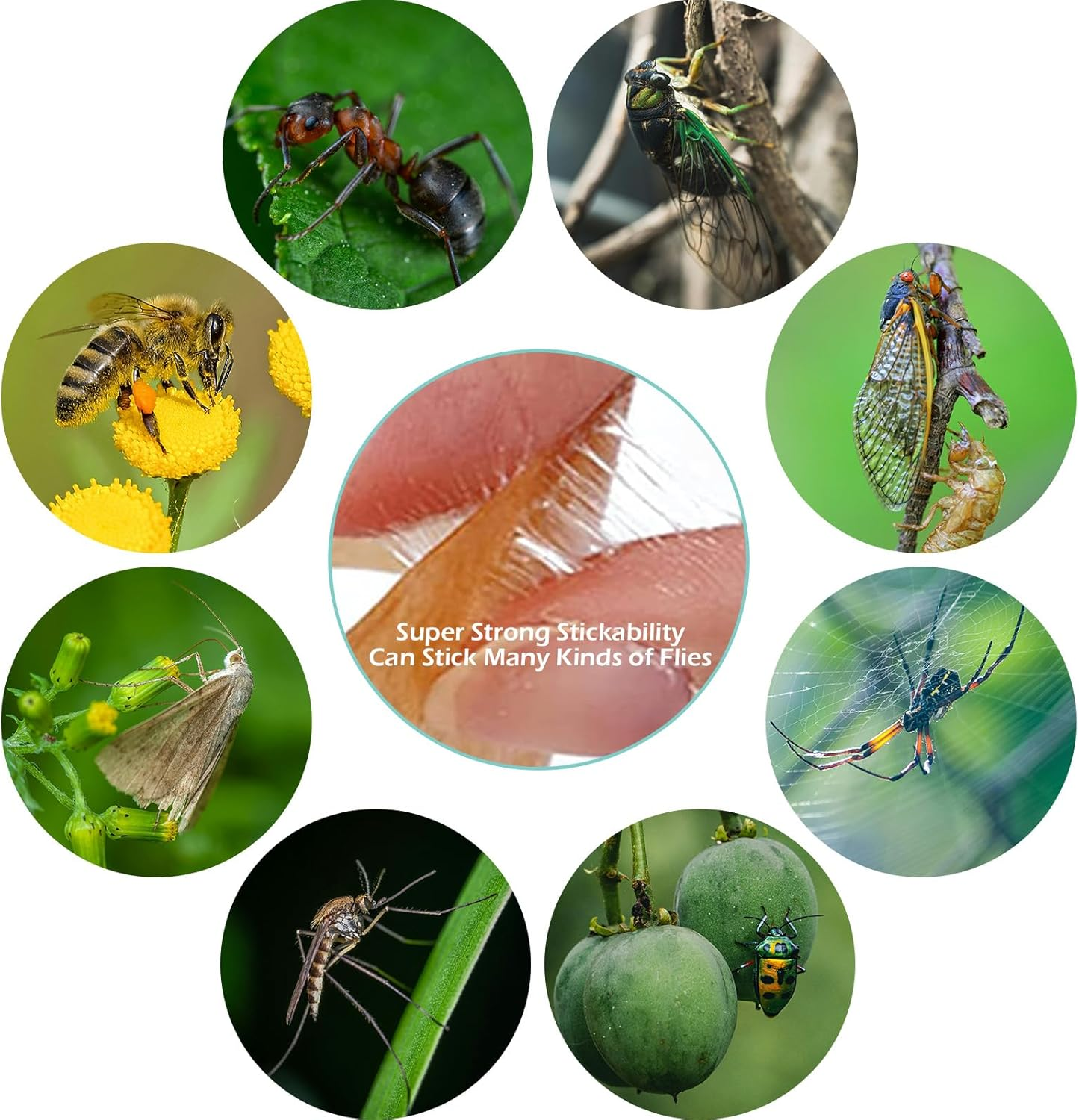 Bighan 24 Pcs Fly Paper Strips, Rolls Fly Paper Fly Ribbon Sticky Traps Hanging Insect Mosquito Traps Fly Catcher image number 4