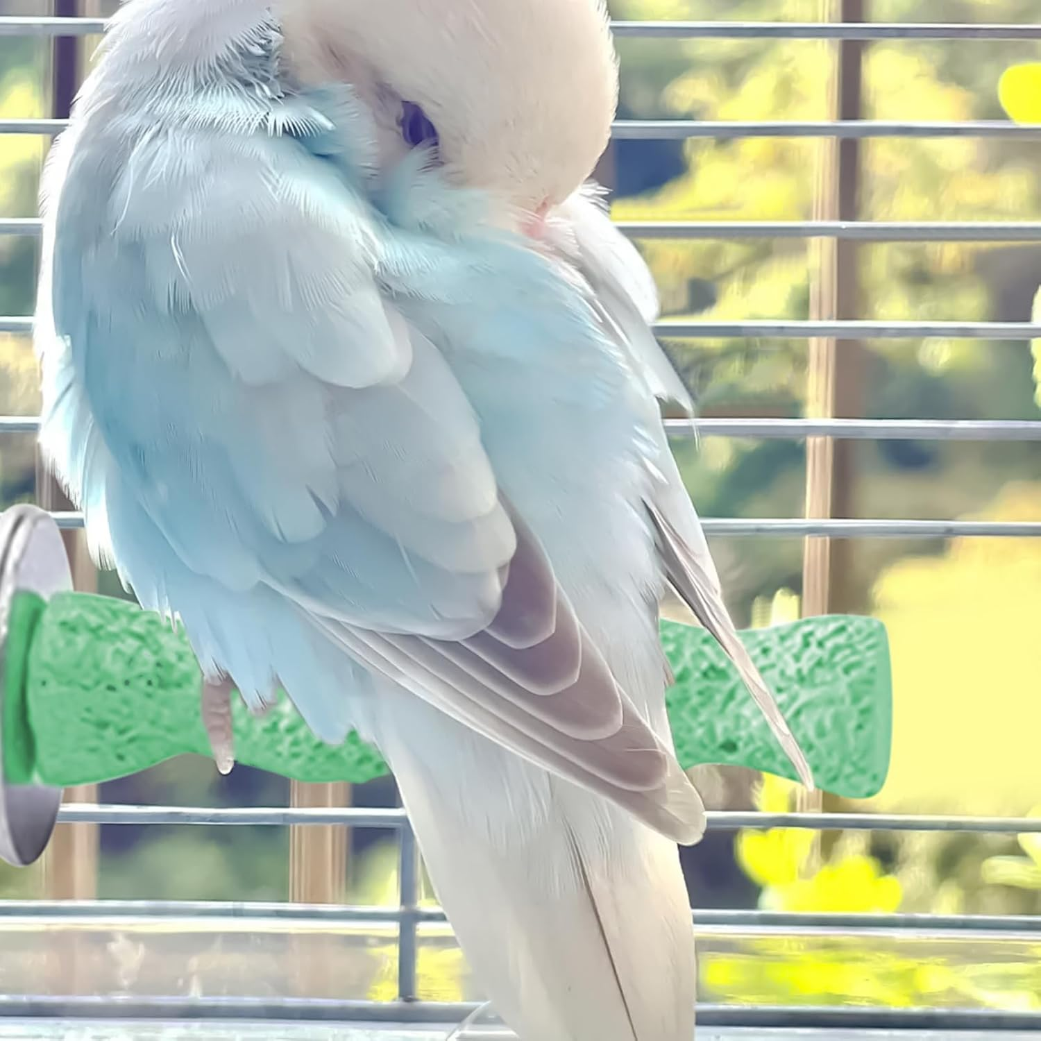 Bird Cage Perch - Bird Paw Grinding Stick Toy,Paw Grinding Toys for Parrots Conure Cockatiel Lovebird Exercise Pet Training Outdoor Play image number 6