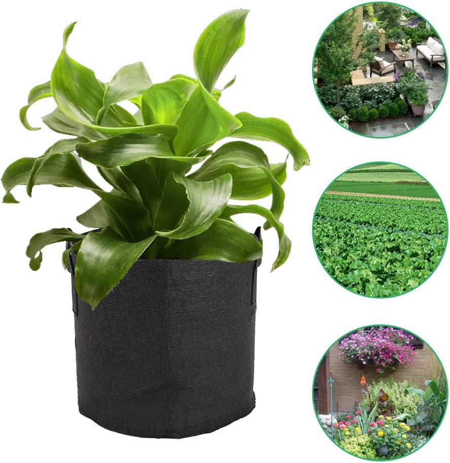 Valuehall Grow Bags Thickened Nonwoven Aeration Fabric Pots Plant Grow Bags Plant Pots with Handles V8020 (6 Pack- 10 Gallons) image number 4