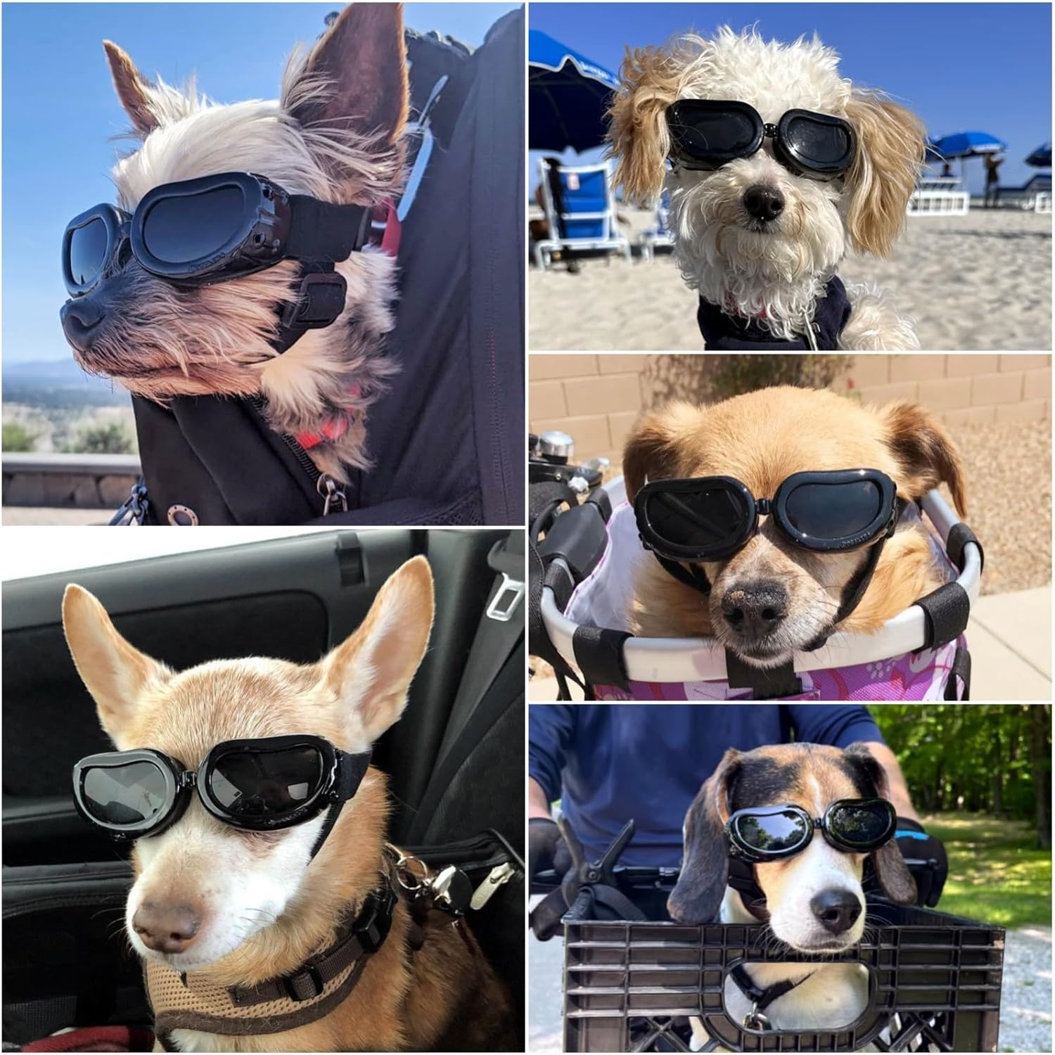 Dog Goggles - Small Dog Sunglasses Waterproof Windproof UV Protection for Doggy Puppy Cat - Black - Black image number 2