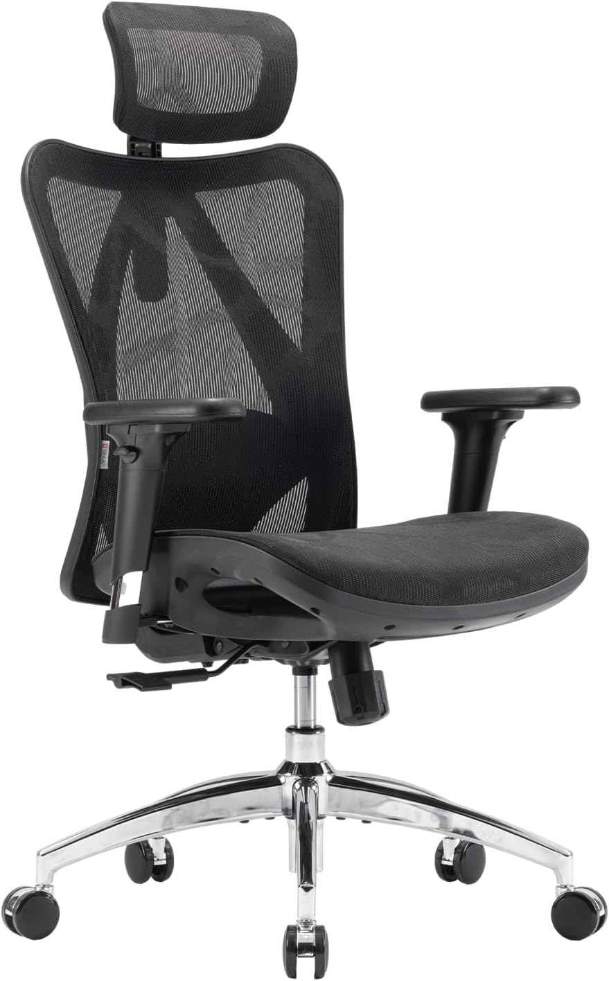 SIHOO M102C-M102Ergonomic Office Chair, Computer High Back Chair with Dual Back Design - Individual Lumbar Pillow, 3D Armrests, Adjustable Headrest and Comfortable Thick Cushion (Gray)