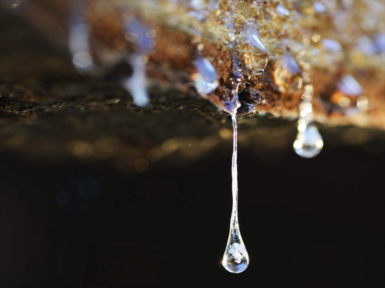 Cuir D'Encens by Alyson Oldoini Eau De Parfum Spray 100 Ml image number 2