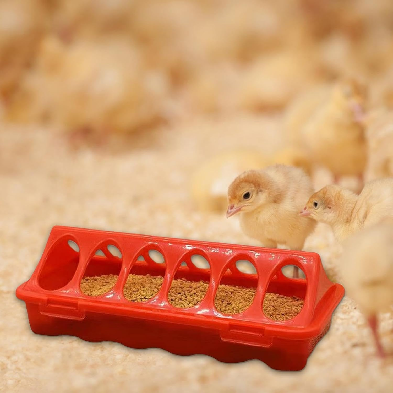 WADY Chick Feeder Waterer, Chicken Feeder, Quail Water Feeder, 6 Slots Duckling Feeder, Bird Feeding Dispenser for Pigeon Parrots Chicks Quail Duck Bird Poultry Animal, Chick Feeder Trough image number 5