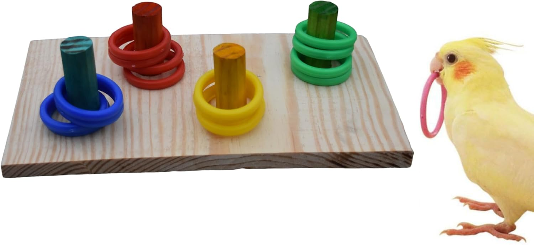Poonch Bird Brain Stimulating and Color Training Ring Toy for Budgies Cockateil Lovebird and Other Parrots- 16 Rings 4 Color Each.