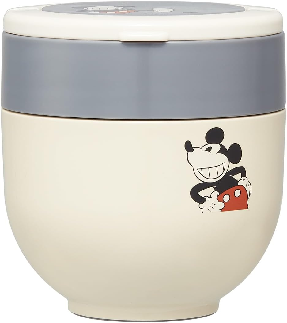 Skater LDNO6AG Insulated Lunch Jar, 19.4 Fl Oz (540 Ml), Includes Folding Handle, Antibacterial, Terracotta Orange