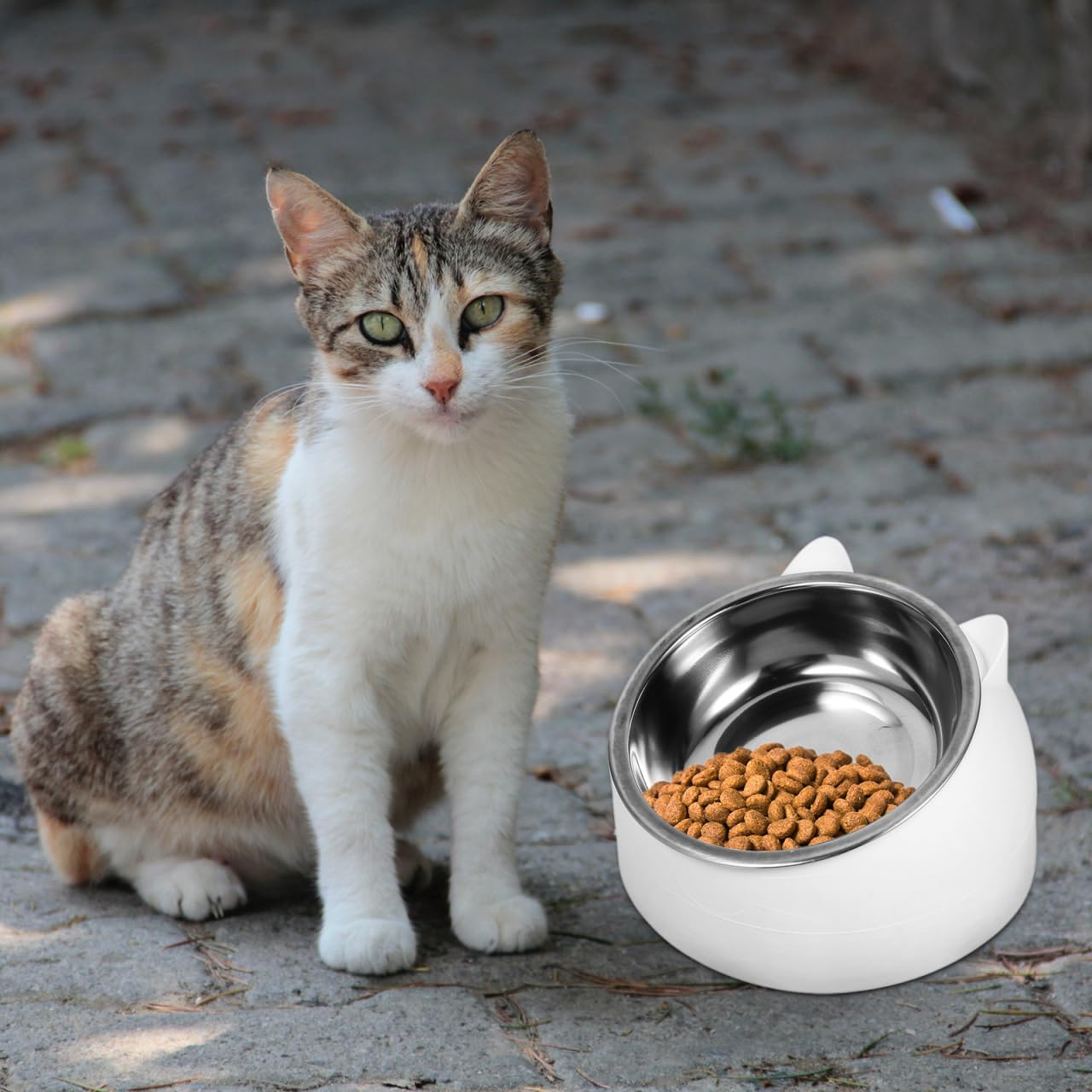 BESPORTBLE Elevated Pet Bowl: Tilted Dog Bowl for Small Dogs & Cats - Detachable Stainless Steel Inner Raised Cat Water Cup Neck Protection for Pets, 200Ml