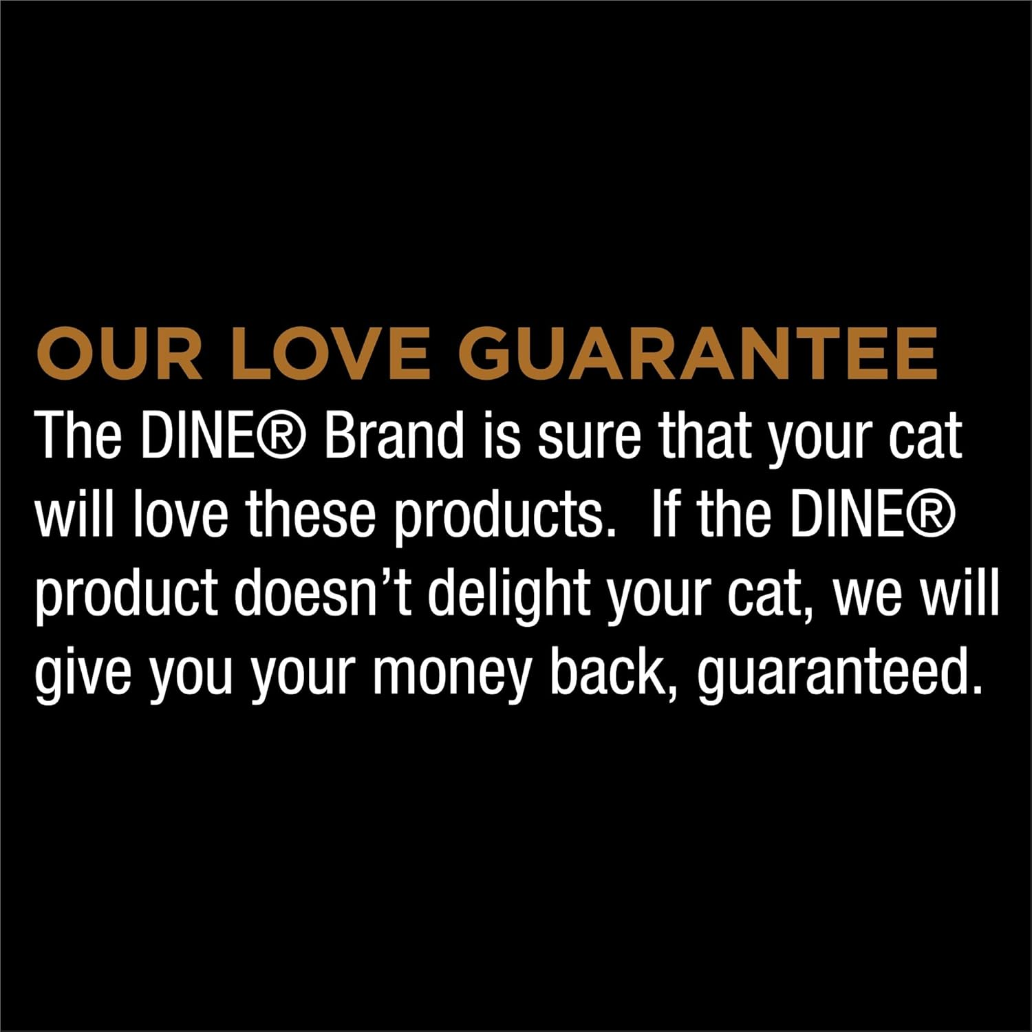 Dine Classic Collection Wet Cat Food Salmon Saucy Morsels 85G Tray, 14 Pack image number 5