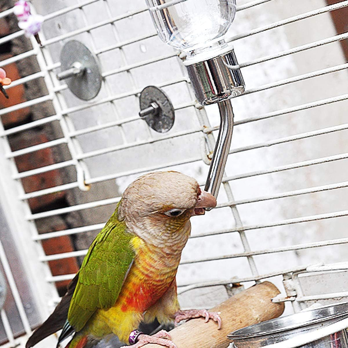 Guinea Pig Water Bottle Small Pet Water Bottle No Drip, Water Bottles Hanging Small Animal Drinking Bottles for Rabbit, Guinea Pig, Ferret, Hedgehog, Squirrel, Chinchilla Dispenser 350Ml (2Pcs350Ml)