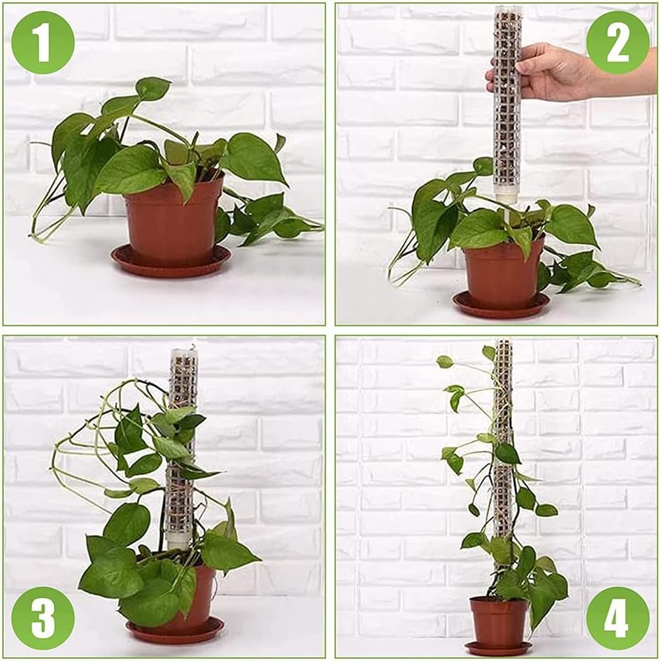 Qeunrtiy 6Pcs Plastic Moss Pole 15 Inch Transparent Moss Mesh Pole Small Moss Pole Stake for Plants Monstera Potted Plants image number 1