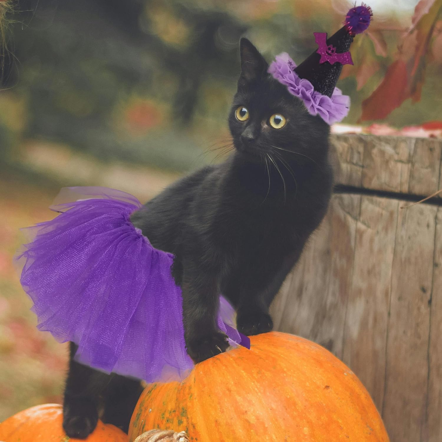 Pet Halloween Costume Set, Purple Witch Hat and Tutu Skirt image number 4