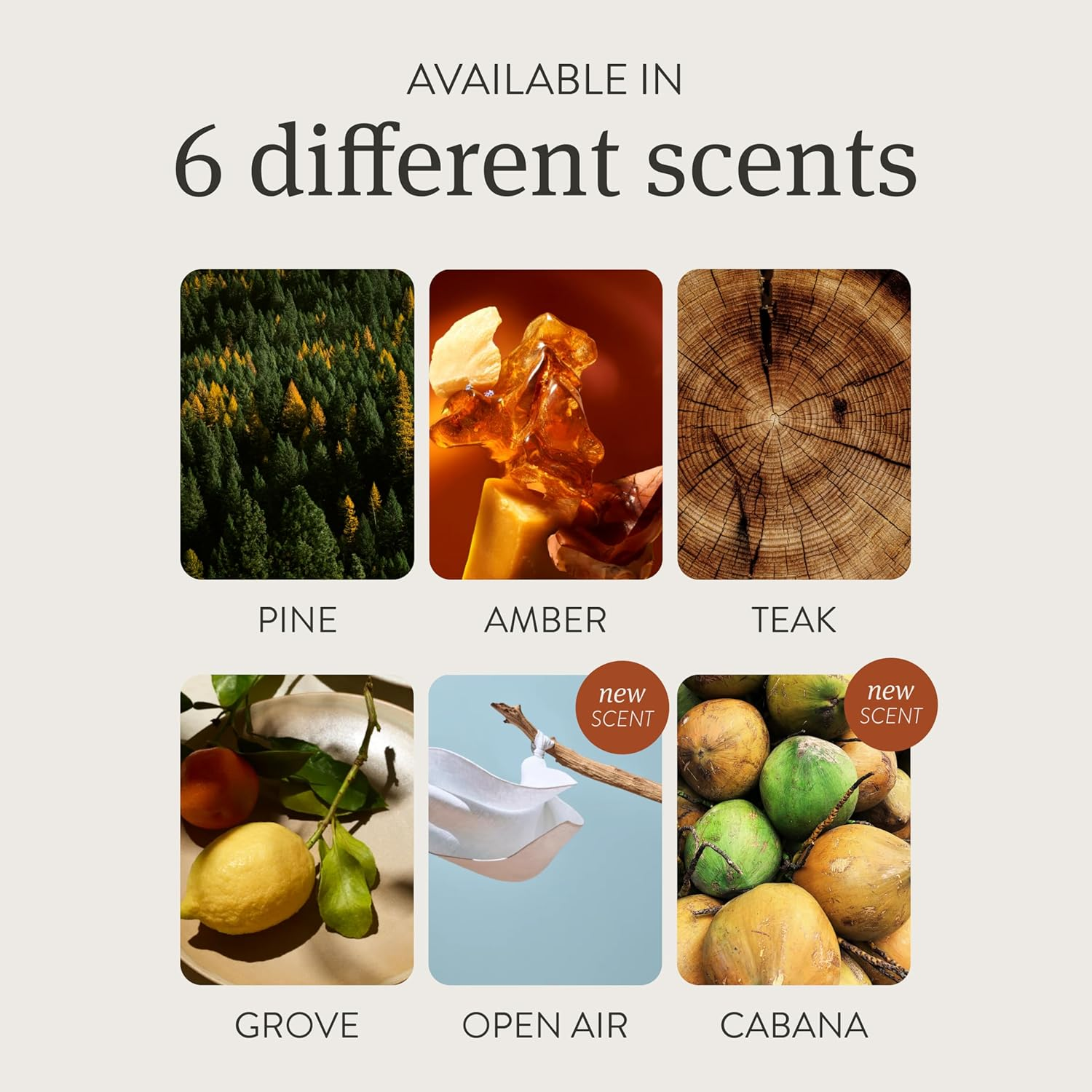 Drift Car Air Freshener - Wood Air Freshener - Car Odor Eliminator - Teak Scent Starter Kit image number 6