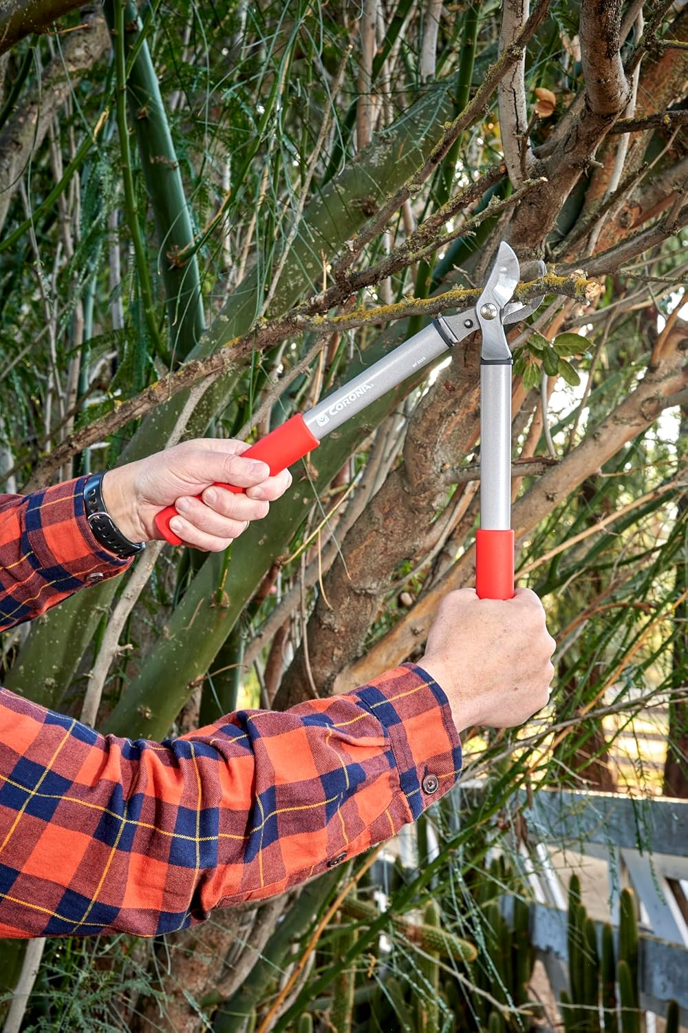 Corona Tools BP 3225D Forged Steel Classiccut Two-Handed Bypass Pruner-3/4 Inch Cut Capacity Stem and Branch Garden Shears, Red image number 5