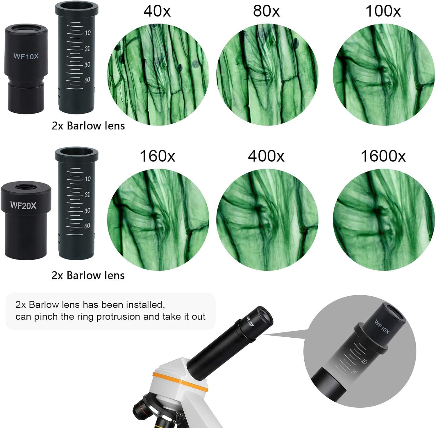 SVBONY SV601 Compound Microscope 40X-1600X, Portable Biological Electronic for Kids Adults Beginner, Dual Light, Fine Focus, Wide Field 10X 20X S40X Eyepiece for Laboratory, High School image number 1