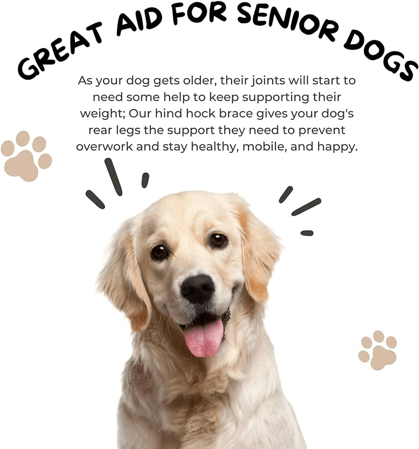 Leg Brace, Dog Canine Rear Leg Hock Brace, Joint Compression Dog Brace Wrap for Recovery, Protection Sprain & Injury Prevention, Knee Hock Ankle Extra Supportive for Dogs, 1 Pair (L) image number 3