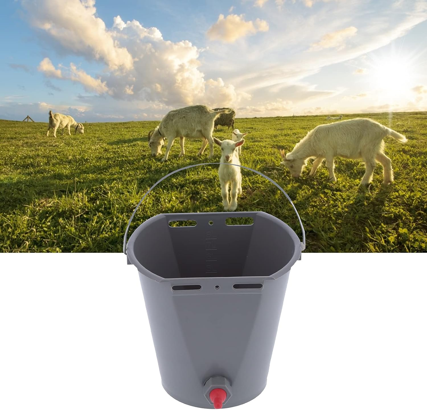 Calf Feed Bucket, Large Capacity Animal Feeder 8L Plastic Feed Pail with Nipple Check Valve for Cattle Sheep Livestock Farm Use (For Sheep)