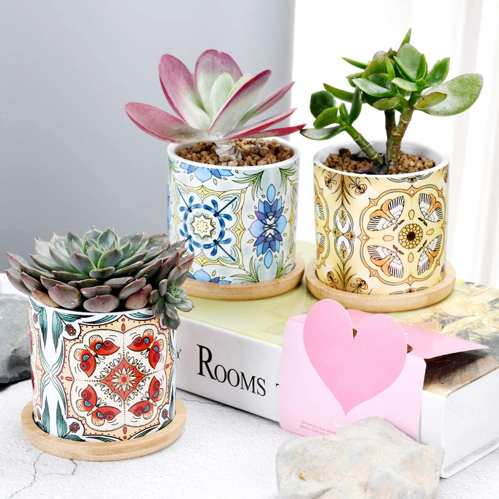 Sun-E Plants Succulent Pots Cactus Pot Mini Plant Planters Decorative Ceramic Planter Gift Idea Indoor Flower Pots with Drainage Home Office Decorations Dragonfly-Butterfly -Moth Series 3PCS image number 5