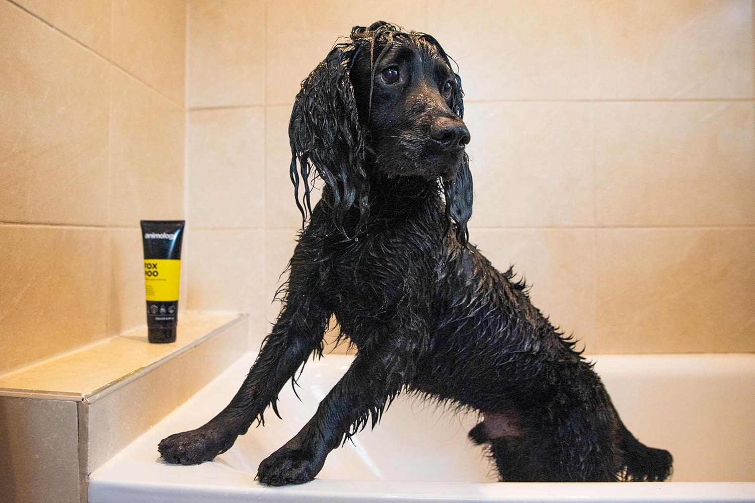 Animology Fox Poo Deodorising Dog Shampoo 250Ml image number 4