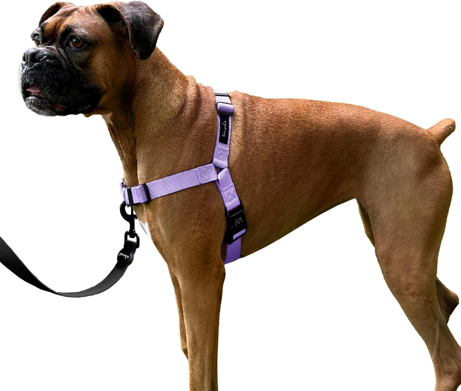 Shawnco Dream Walk No-Pull Dog Harness- Adjustable, Comfortable, Easy to Use Pet Halter to Help Stop Pulling for Small, Medium and Large Dogs- Art Pattern Designs (Montana Daydream, M)
