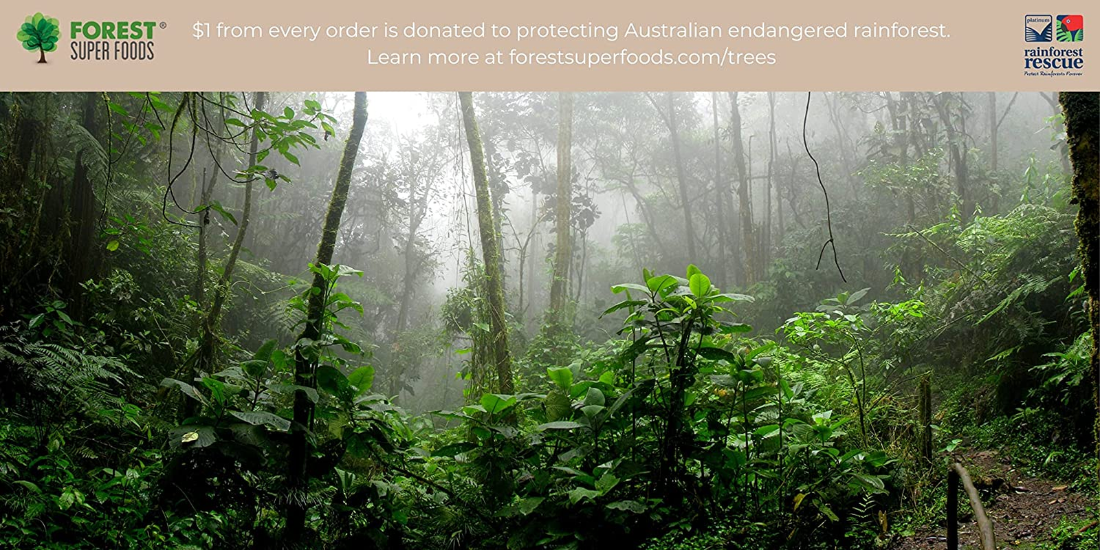 Forest Super Foods Young Barley Grass Powder Certified Organic Australian Grown 4000Mg Gluten-Free Detox Rich in Chlorophyll Vitamins & Minerals Premium Quality for Gut Health image number 2