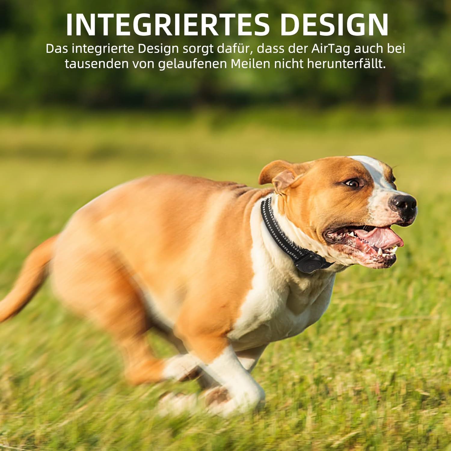 Airtag Dog Collar, 100% Waterproof Integrated Apple Airtag Dog Collars, Reflective GPS Dog Collar with Hard PC Airtag Holder Case for Small and Large Dogs (Black) image number 6