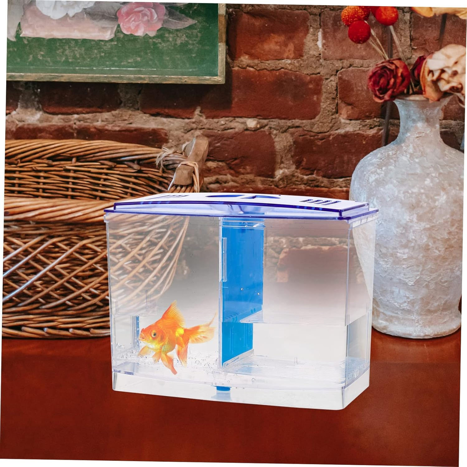 GRIRIW Aquarium Box for Betta Fish Removable Divider for Easy Separation Acrylic Breeding Box for Aquatic Pets Transparent Design for Viewing for Hatching and Nursing Fry image number 1