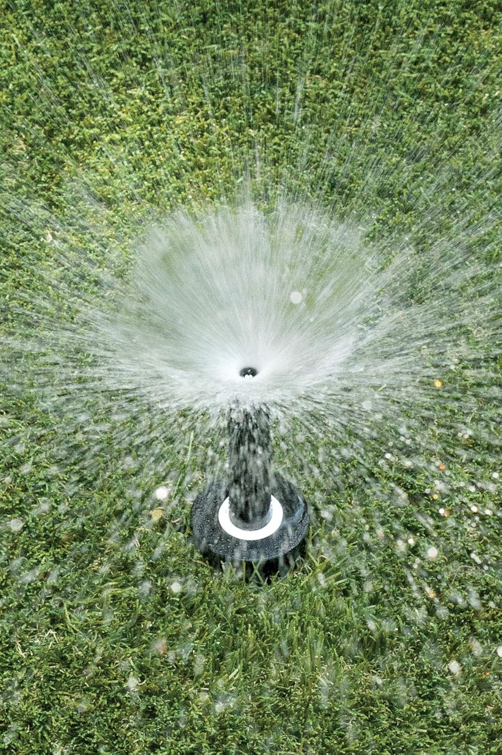 Rain Bird 1804DSF4PK Professional Dual Spray Pop-Up Sprinkler, 360&deg; Full Circle Pattern, 8' - 15' Spray Distance, 4" Pop-Up Height, 4-Pack image number 2