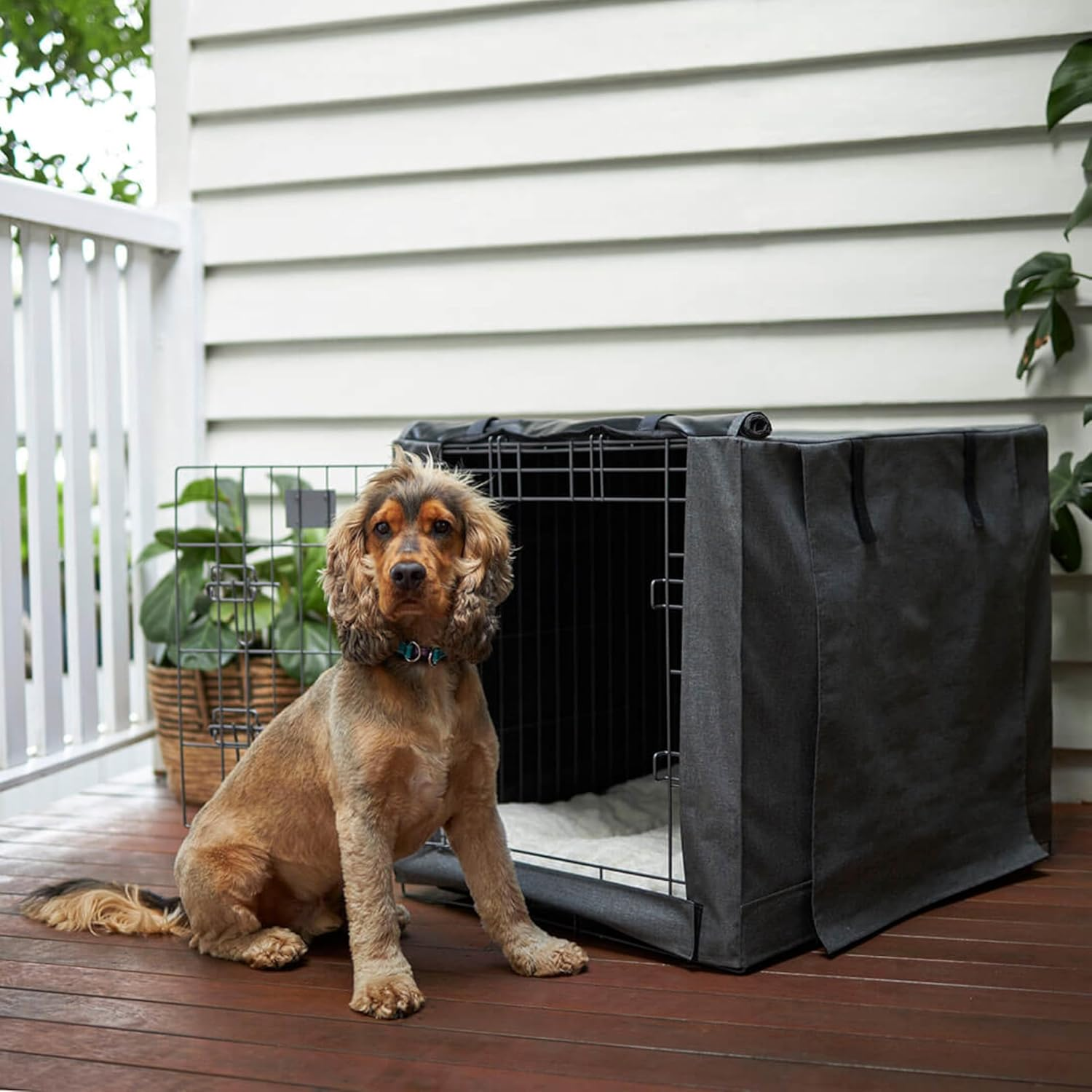 Kazoo Premium Crate Cover, Medium image number 2