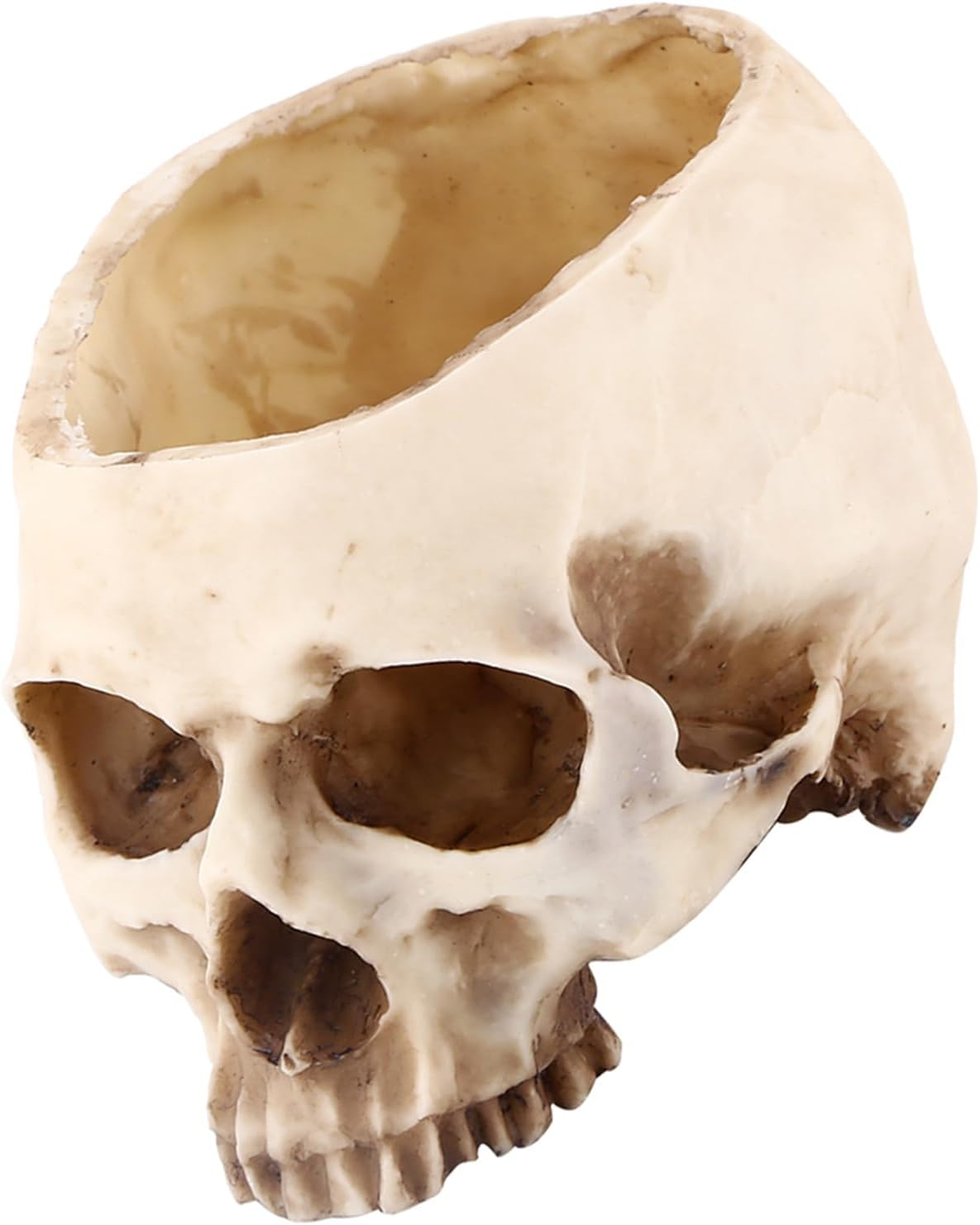 1 Piece Eyecatching Skull Flower Pot Authentic Design Planter and Multipurpose Decorative Container, #564, Traditional image number 1