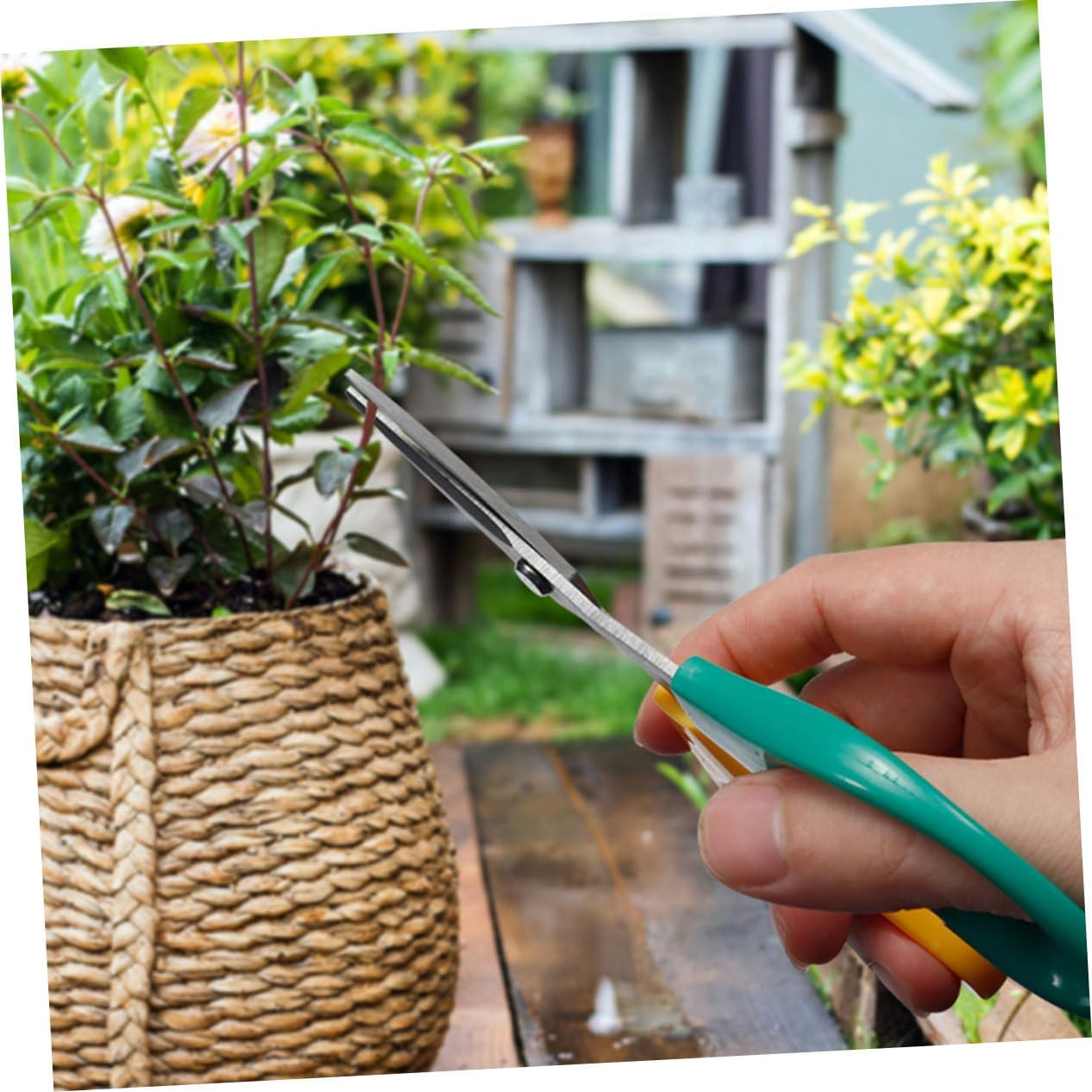 KONTONTY 5Pcs Garden Pruning Shears for Gardening Pruning Shears for Fruit Picking Steel Scissors image number 1