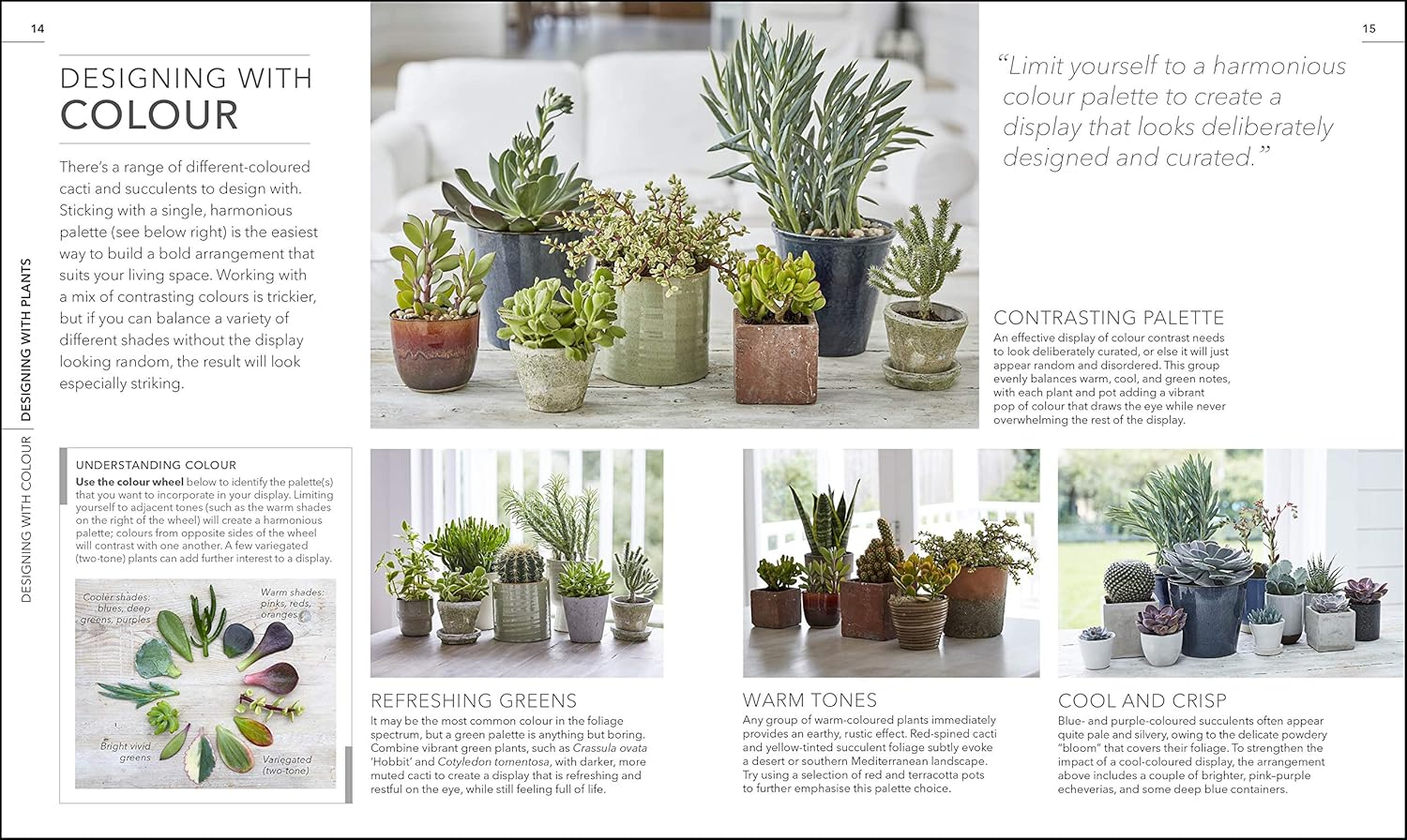 RHS Practical Cactus and Succulent Book: How to Choose, Nurture, and Display More than 200 Cacti and Succulents image number 5