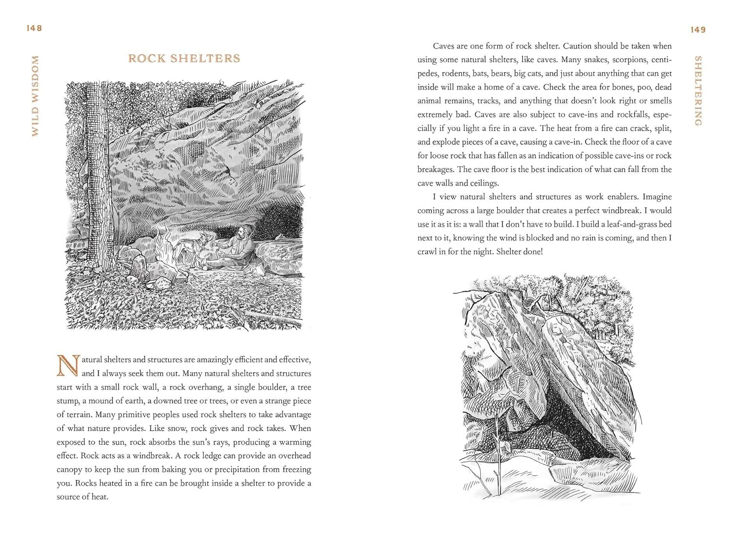 Wild Wisdom: Primal Skills to Survive in Nature image number 1