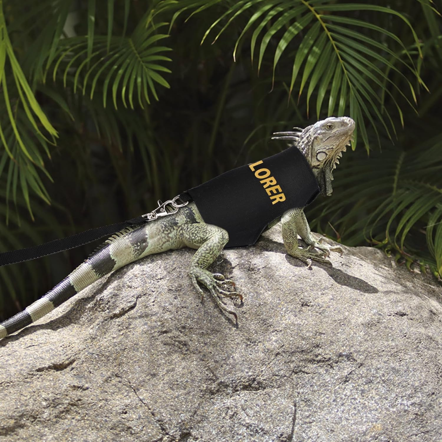 Bearded Dragon Leash & Preservation Set, Bearded Dragon Accessories Adjustable Reptile Lizard Tool for Chameleon Small Pet Plaza Safe Walk Outside image number 6