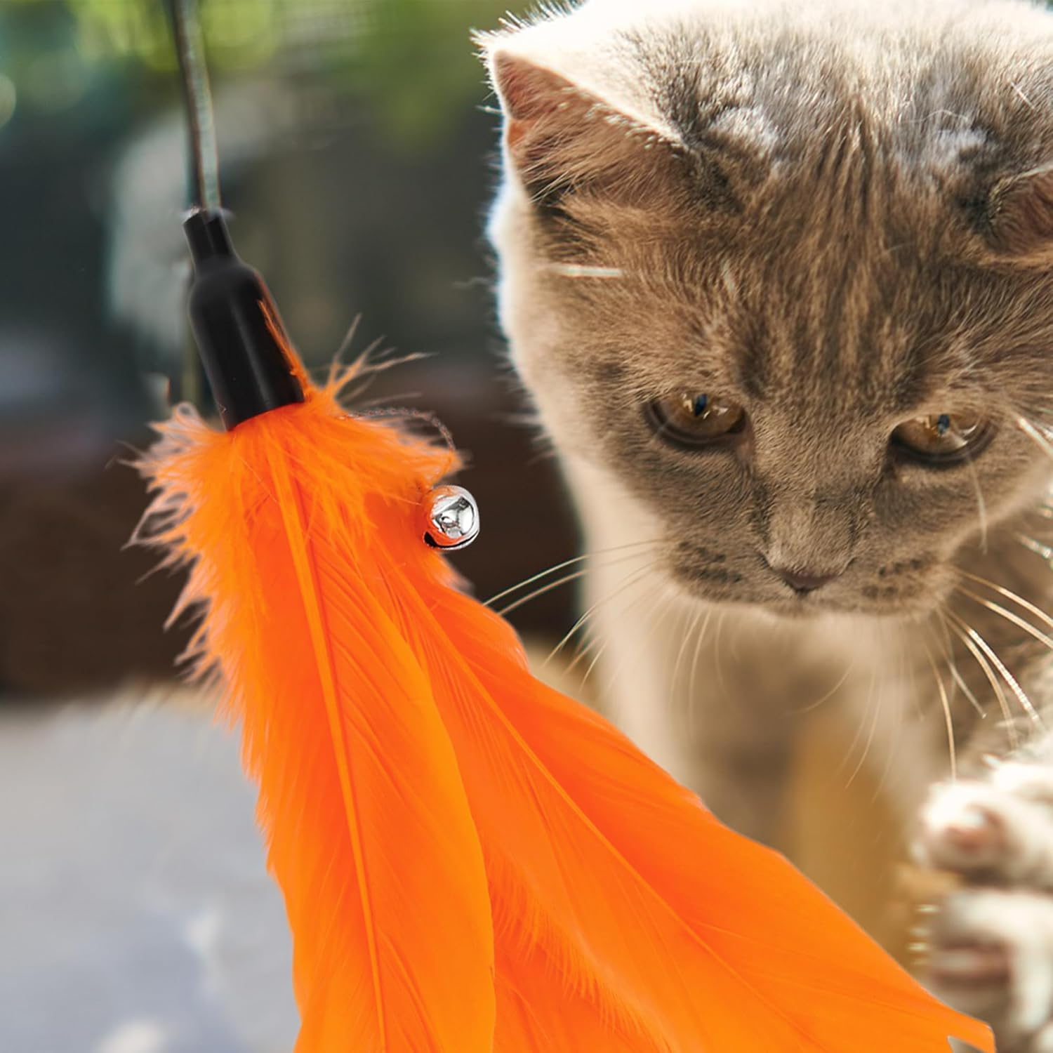 CAPASTEC 2 Pcs Feather Cat Stick Replacement for Interactive Pets Orange image number 4