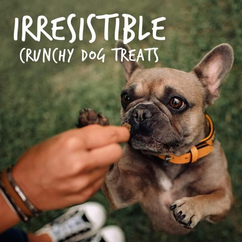 Fruitables Baked Dog Treats, Healthy Pumpkin Treat for Dogs, Low Calorie & Delicious, Free of Wheat, Corn and Soy, Made in the USA, Pumpkin and Banana Flavor, 7Oz image number 3