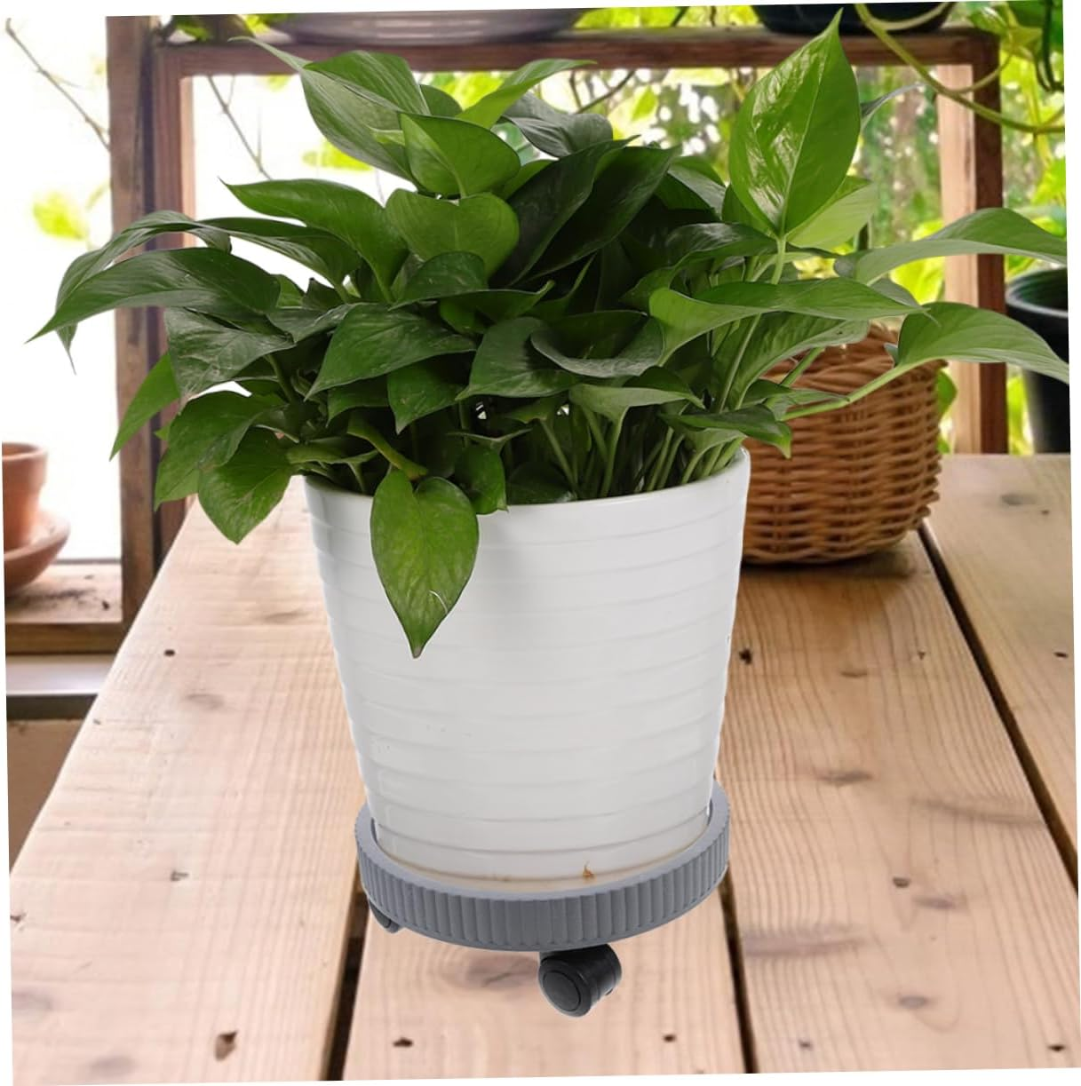 SUPVOX 2Pcs Thickened Mobile Roller Pallet Plastic Gardening Pot Tray Flowerpot Holder Wheels for Indoor Plants Plant Stand image number 2