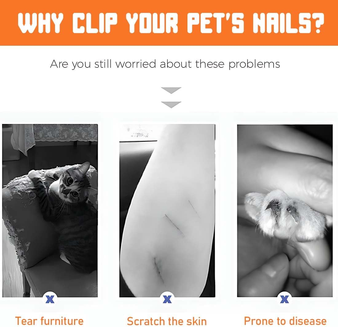 Cat Nail Scissors, Cat Nail Clippers with Protection, Cat Claw Cutter with 2 Mm and 4 Mm Hole, Cat Nail Scissors, Professional Claw Cutter, Cat Nail Clipper for Small Dogs, Puppies, Cats with File image number 1