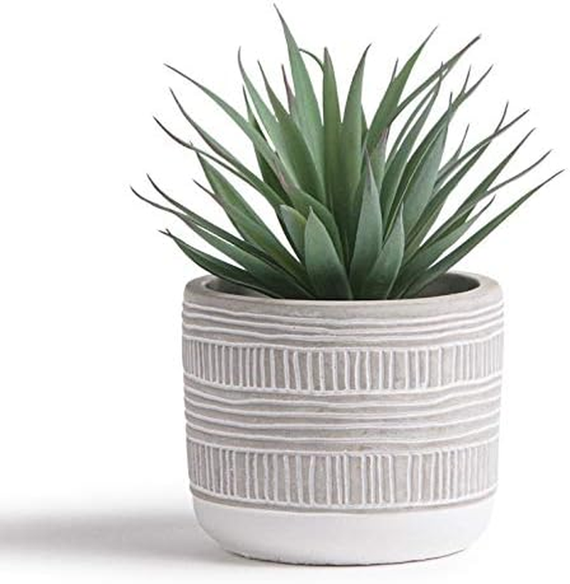 Kurrajong Farmhouse 20Cm High Faux Plant in Pot - Life-Like Artificial Plant - Faux Succulent Potted - Small Artificial Succulent - Fake Plant with Pot image number 2
