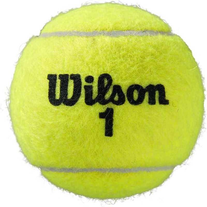 Wilson Roland Garros Official Tennis Balls (1) image number 4