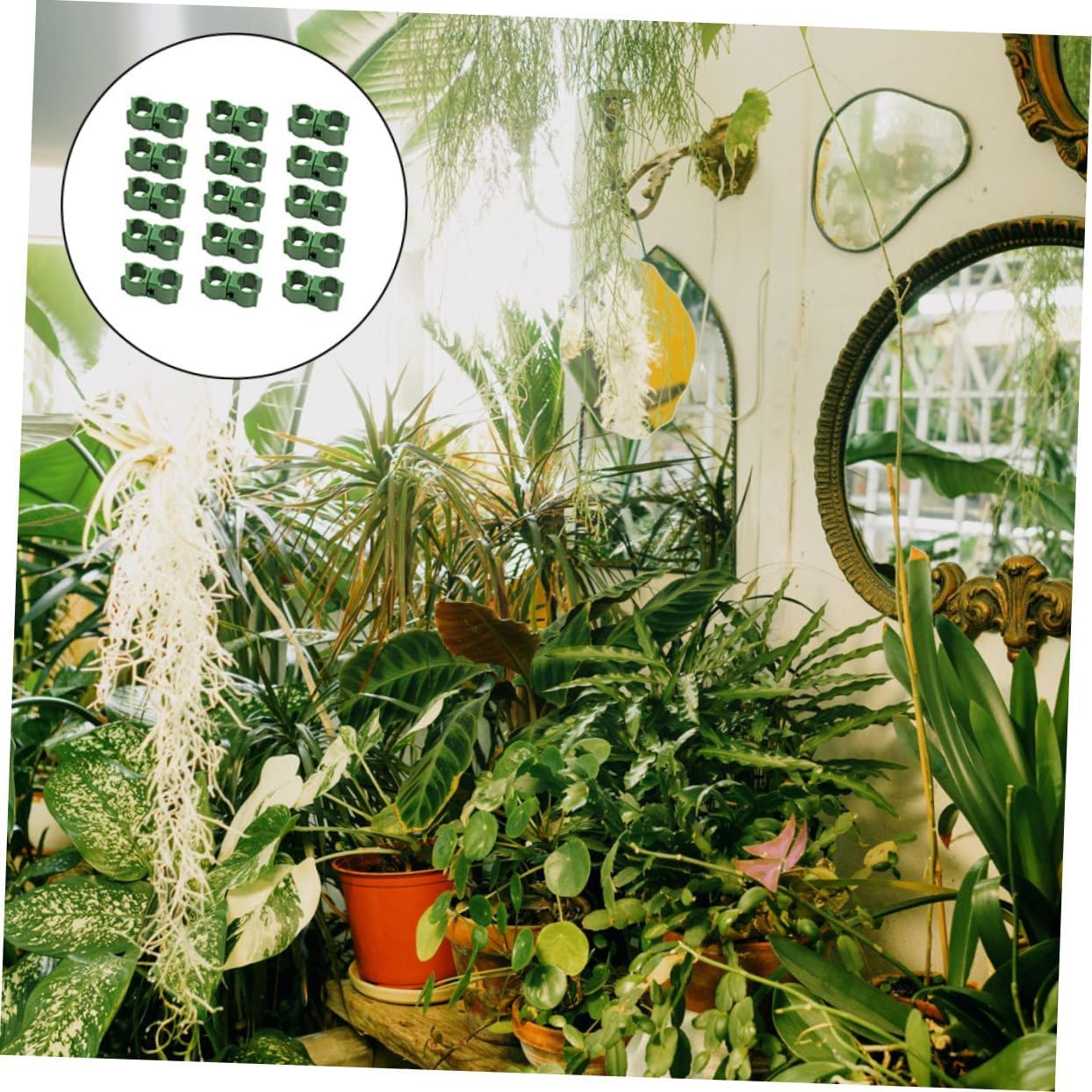 MOBUTOFU 50Pcs Sturdy Gardening Stand Accessories Clips Flower Rattan Buckle for Garden Vine Climber image number 6