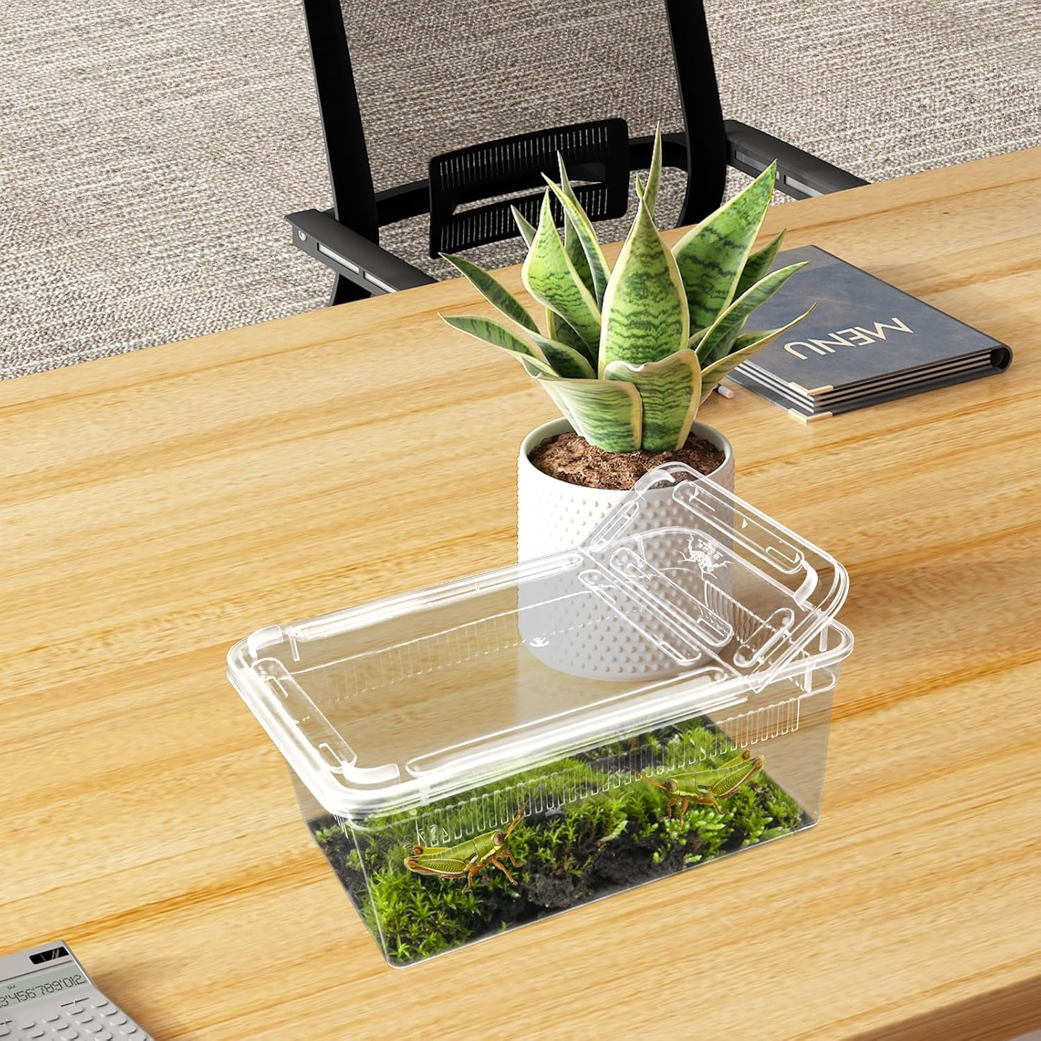 10 PCS Reptile Feeding Box, Isopod Enclosure Plastic Terrarium, Reptile Breeding Box for Bearded Gecko Dragon Lizard Spider Frog, Rreptile Carrier (Clear)