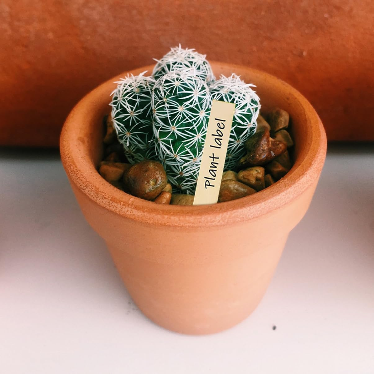 30Pcs Wooden Plant Labels Garden Markers for Vegetable and Flower Beds 2X15Cm Linden Wood Reusable Name Tags for Bonsai and Gardening Supplies image number 2