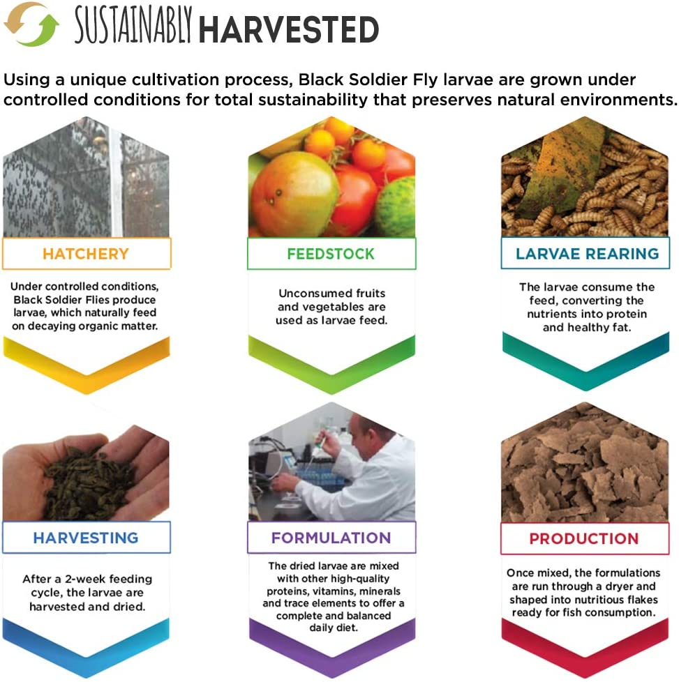 Fluval Bug Bites Tropical Flakes 45 G (Pack of 2) image number 3