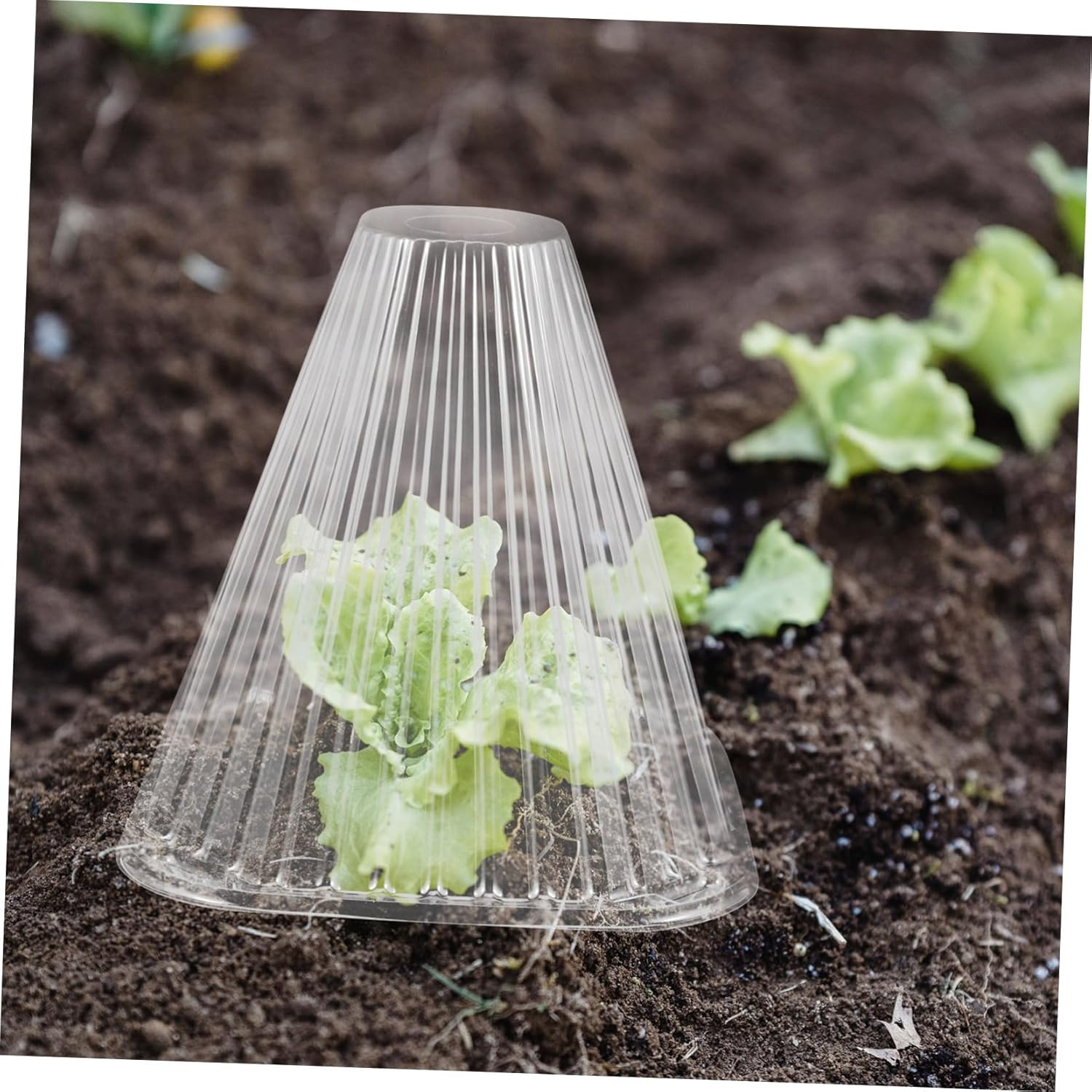 SEWOART Garden Cloche Dome and Frost Protection Plant Covers for Outdoor Gardening, Plastic Reusable Bell Jar with Sunshade and Snail Deterrent, Cone-Shaped Plant Protector for Vegetable image number 2