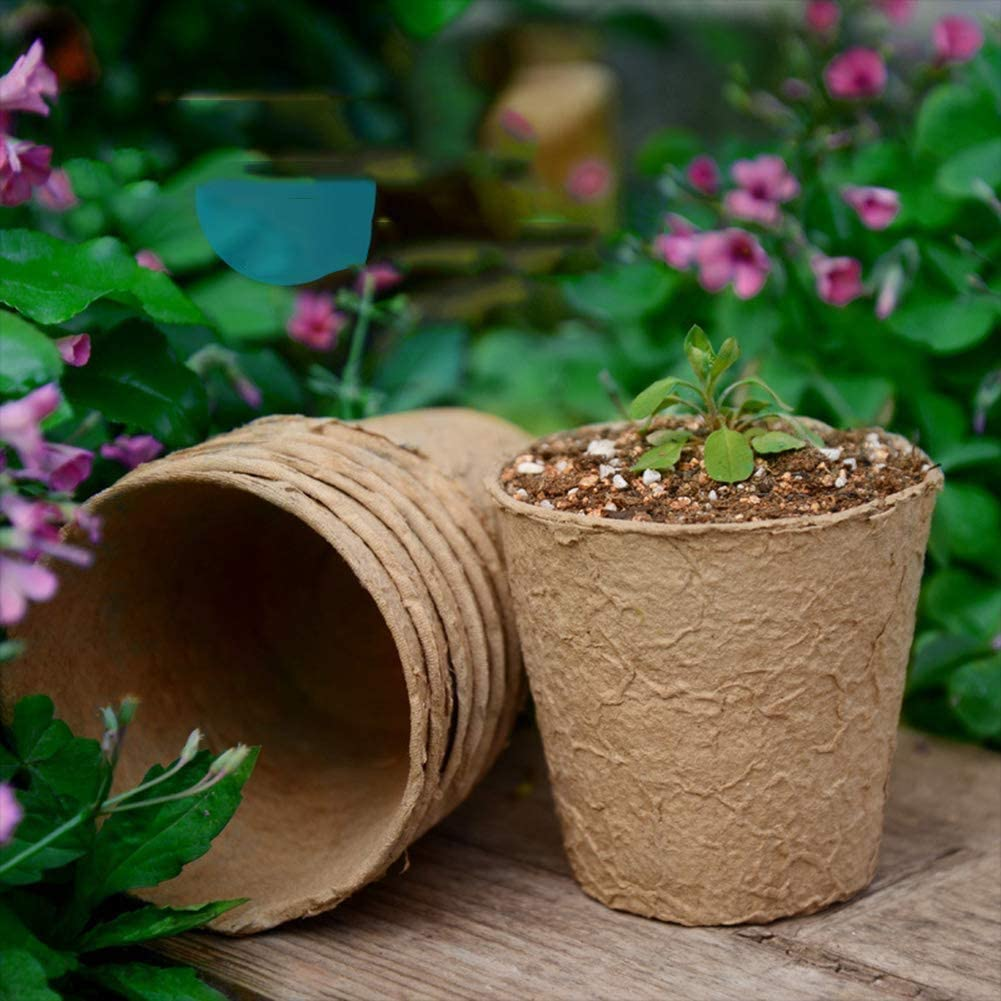 Skycabin Biodegradable Peat Pots for Seed Starting 50PCS 8CM Garden Nursery 100% Natural Plantable Seedling Pots for Plant Starters, Seedlings, Saplings, Flowers, Vegetables image number 5
