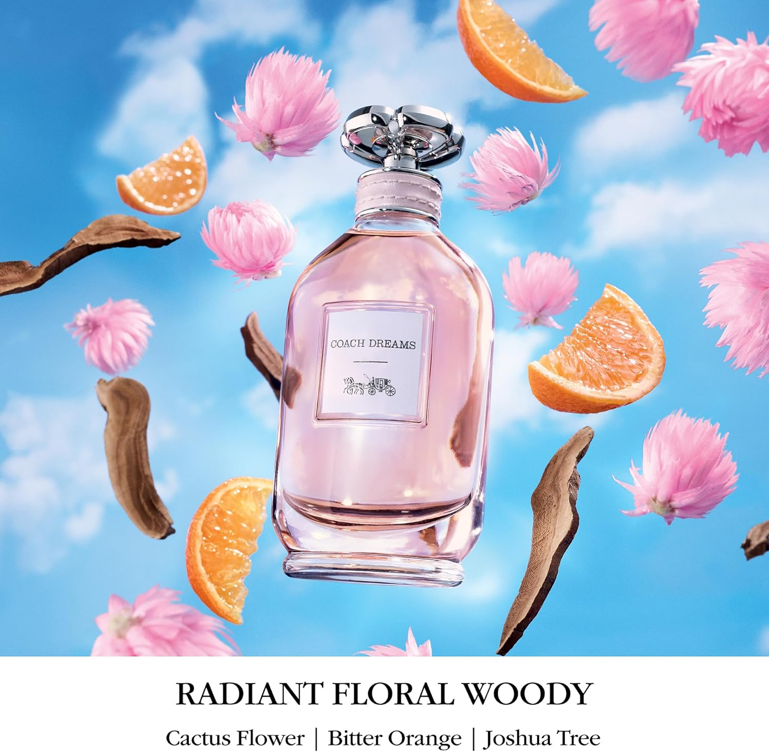 COACH Dreams image number 6