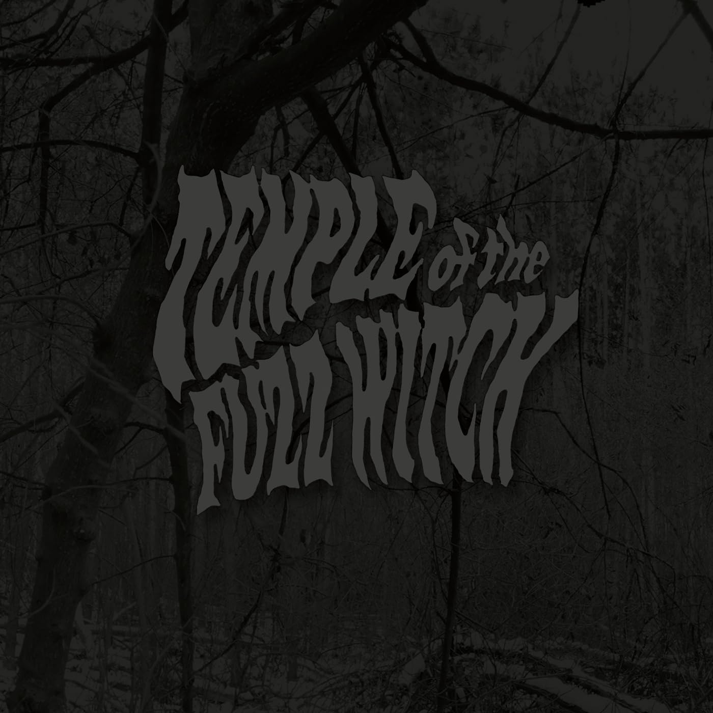 Temple of the Fuzz Witch (LP)