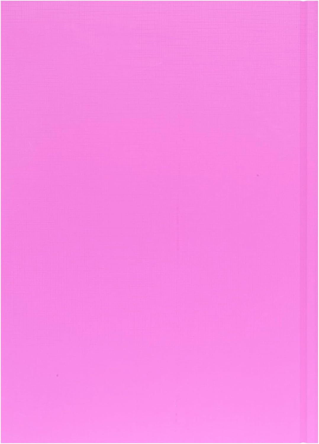 Collins 'Essentials' 12 Month Mid/Academic Year Planner, July 2025-July 2026 Day-To-Page Appointments Diary, A4 Hard Cover, Pink image number 4