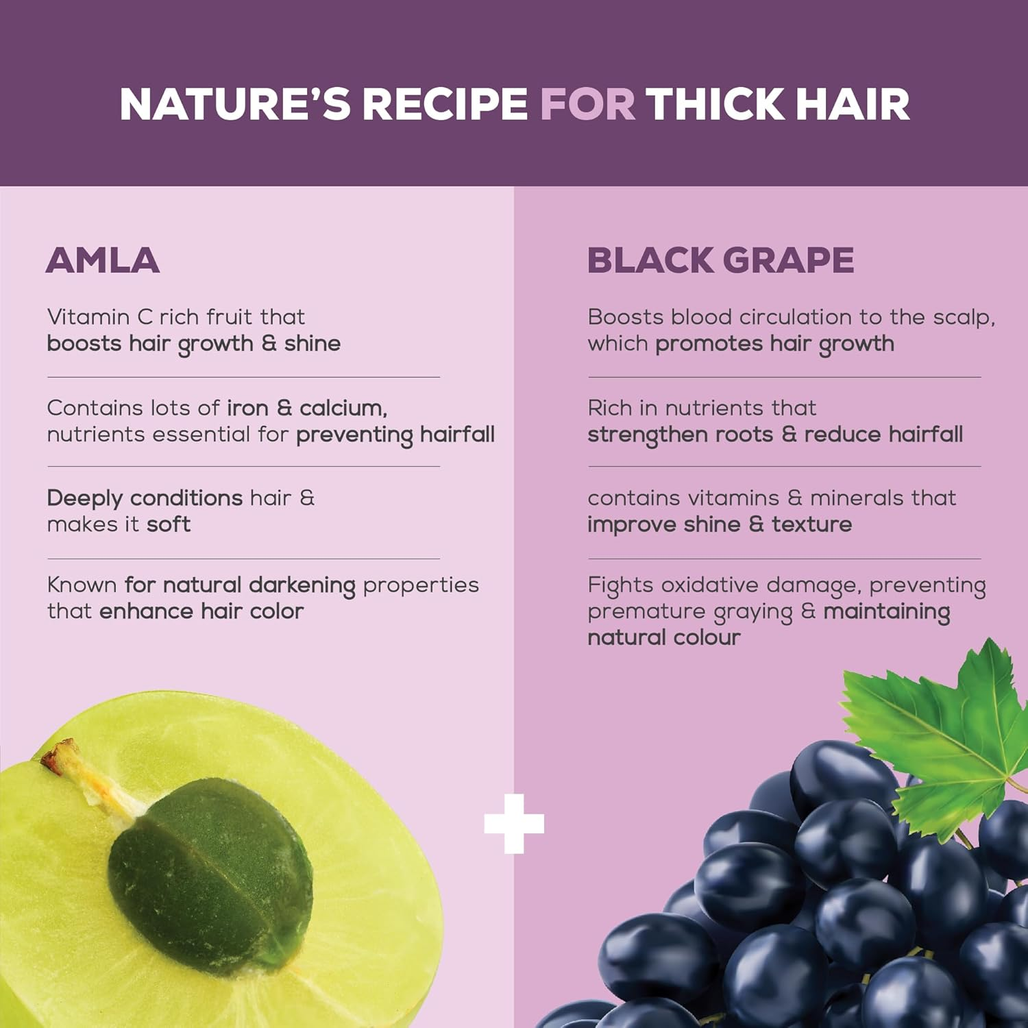 Joy Hair Fruits Shining Black Conditioning Shampoo Enriched with Amla & Black Grapes, 340 Ml image number 1