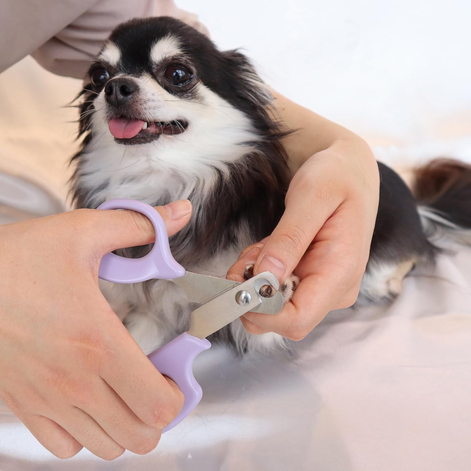 Friendly Dog Nail Clippers image number 1