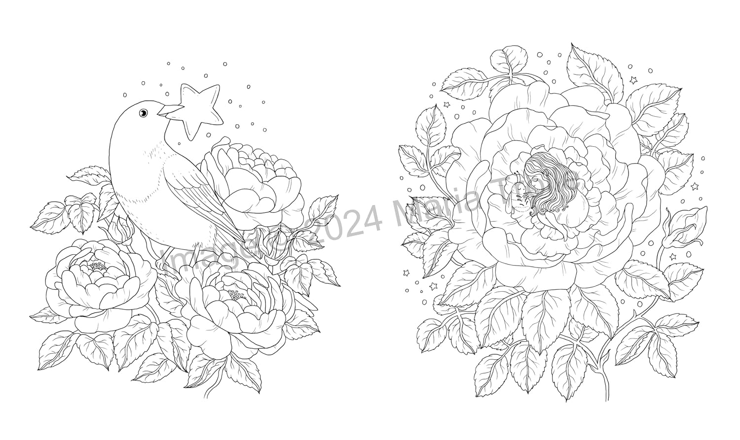 Shooting Star: Coloring Book image number 1